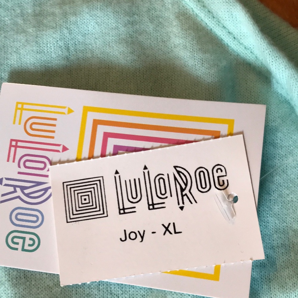 Mint lularoe joy vest